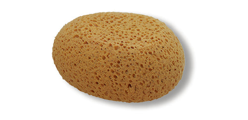 Schwämme