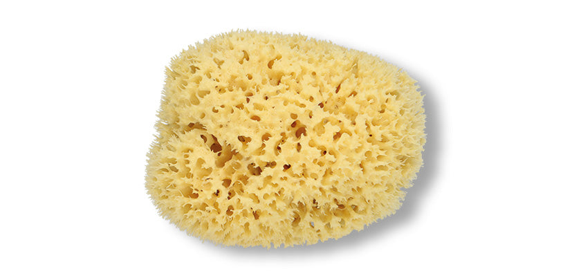 Naturschwämme Prima  10416, 10418 + 10420